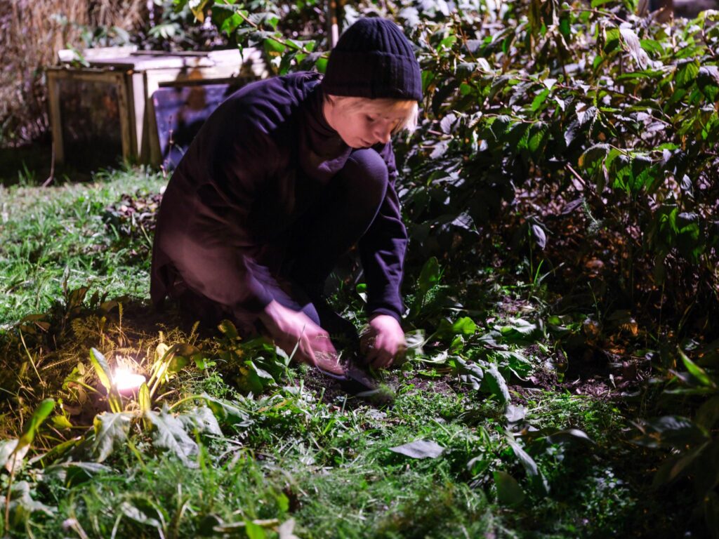 318429340 598150022312944 7830419220328340355 n 1