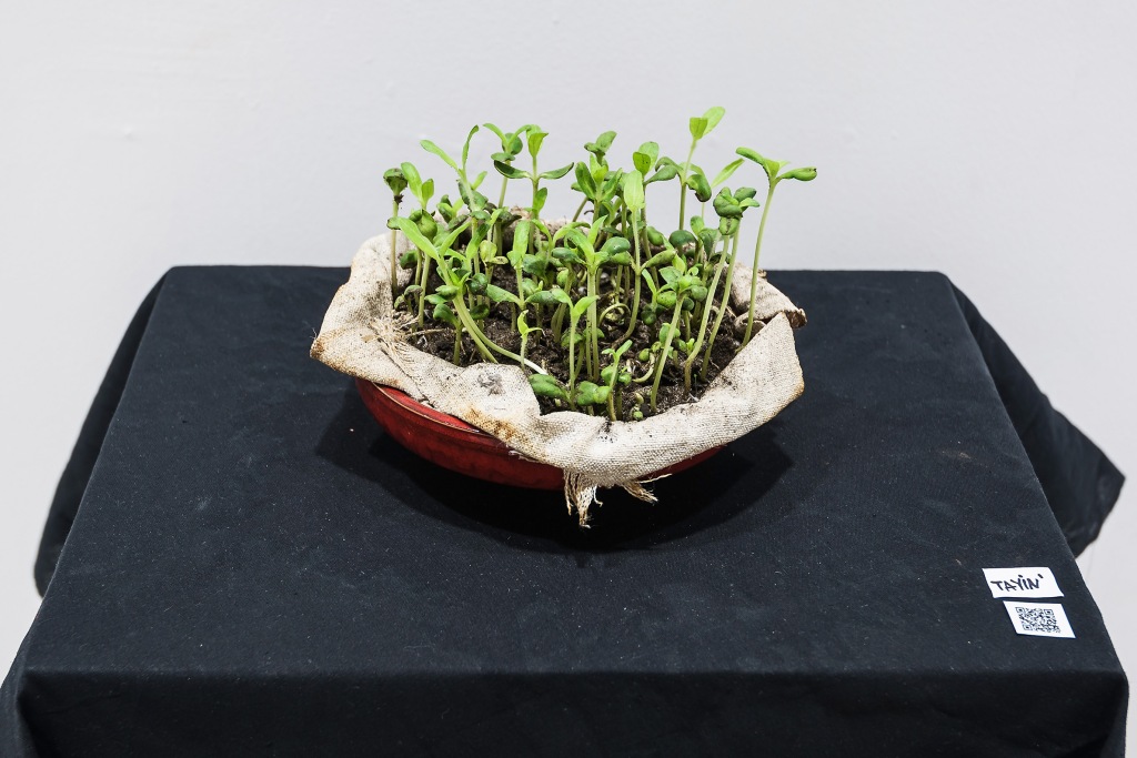 dsc 1226 maly fot adam bogdan 1